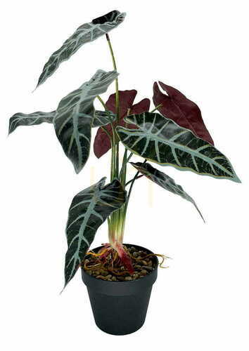 Check Artificial Plant Allocasia 47 cm