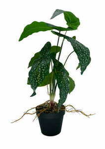 Artificial Begonia plant 35 cm textile leaves grower pot Green Designers GD 3443 small 2