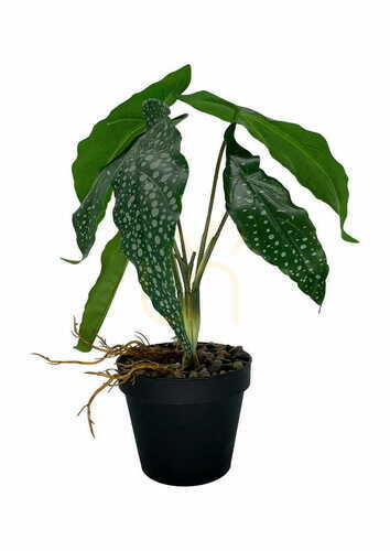 Check Artificial Begonia Plant 26 cm