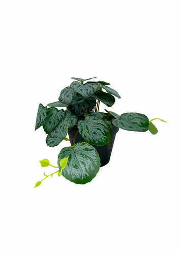 Check Artificial Pilea Plant 20 cm