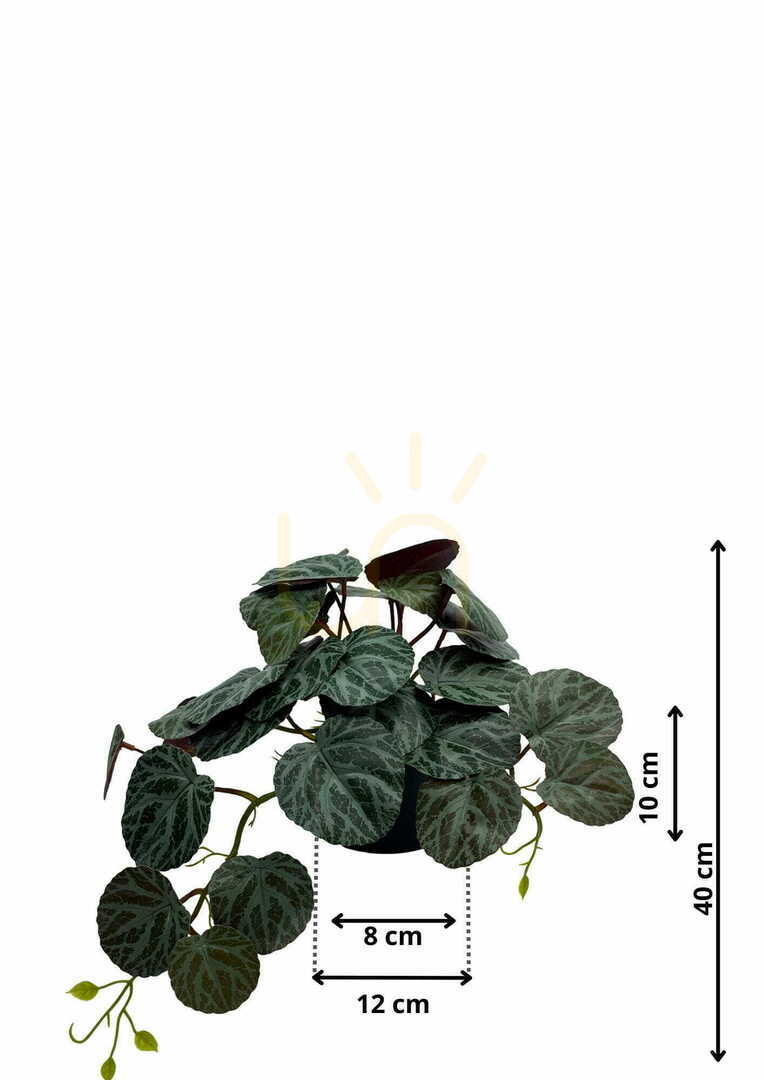 View Artificial Pilea Plant 40 cm Artificial Pilea Plant 40 cm