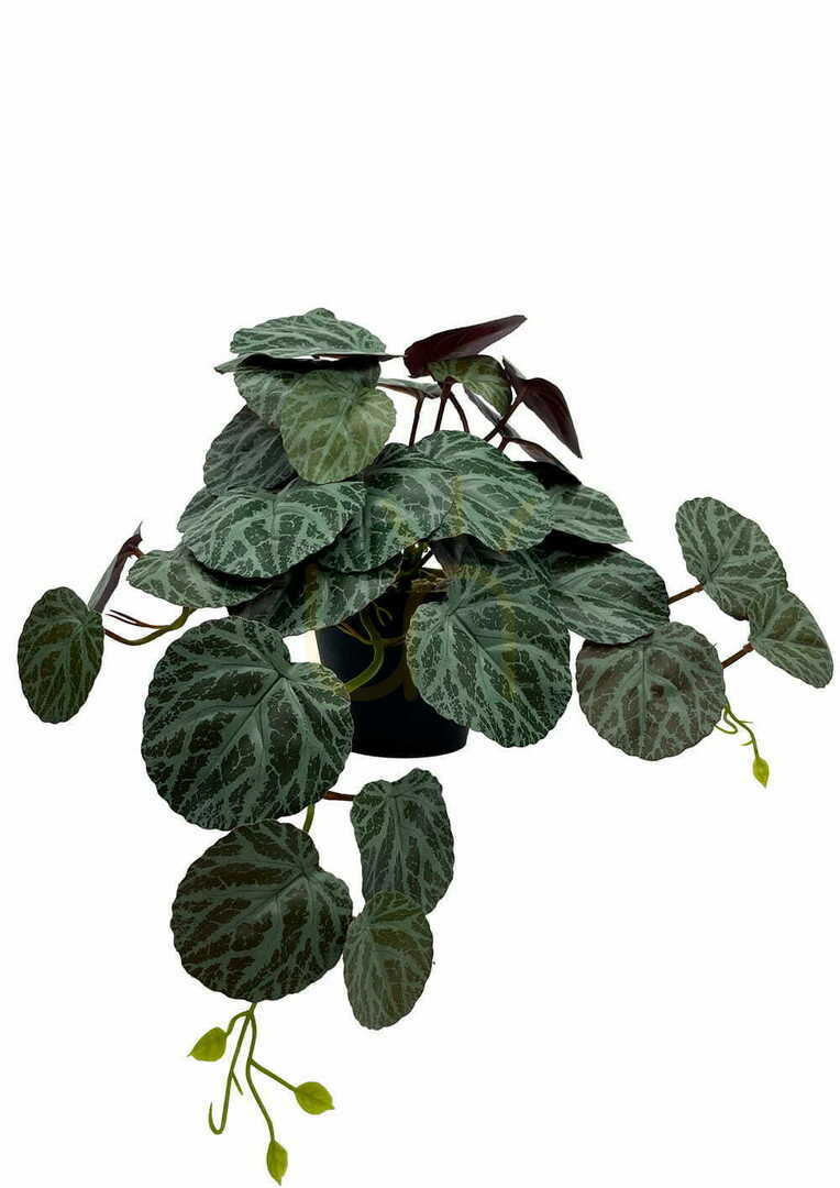 Display Artificial Pilea Plant 40 cm Artificial Pilea Plant 40 cm
