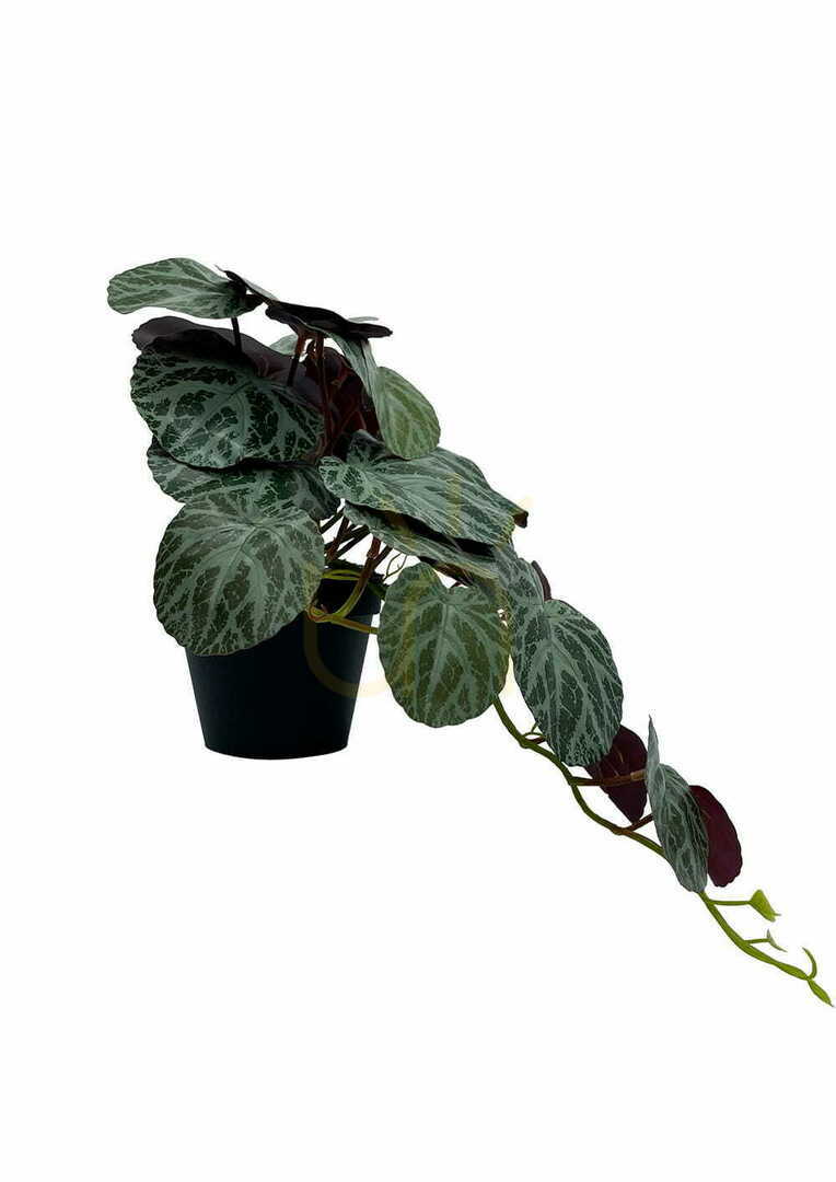 Show Artificial Pilea Plant 40 cm Artificial Pilea Plant 40 cm