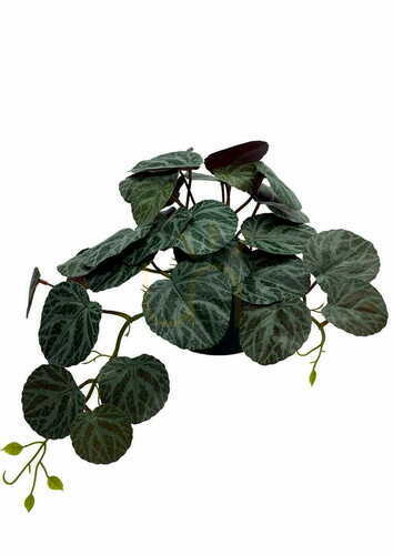 Check Artificial Pilea Plant 40 cm
