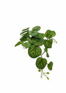 Artificial Pilea plant 37 cm textile leaves grower pot Green Designers GD 3456 small 0