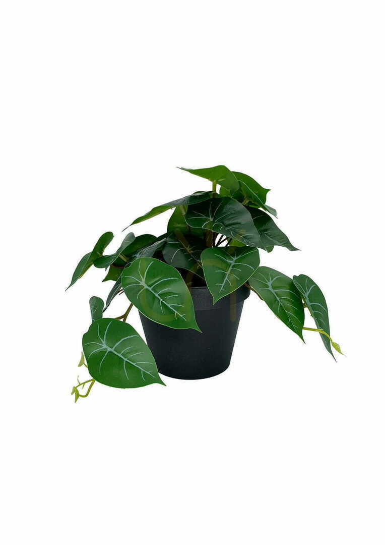 Preview Artificial Philodendron Plant 20 cm Artificial Philodendron Plant 20 cm