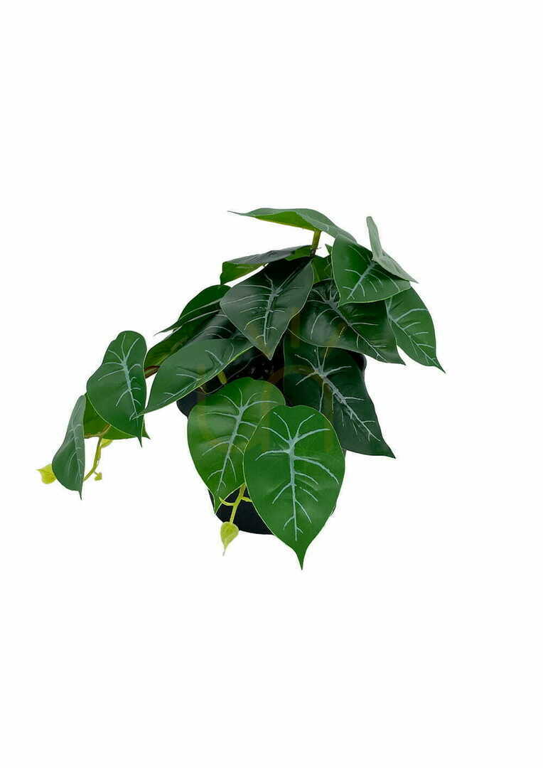 Show Artificial Philodendron Plant 20 cm Artificial Philodendron Plant 20 cm