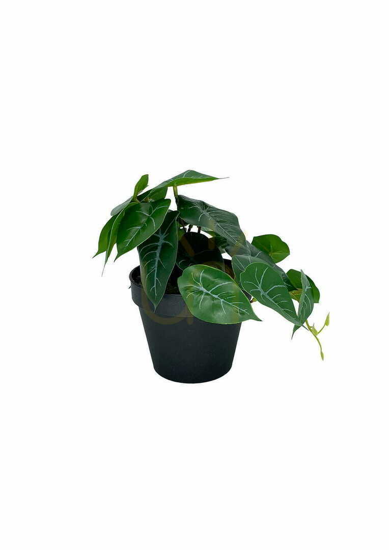 Check Artificial Philodendron Plant 20 cm Artificial Philodendron Plant 20 cm
