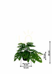 Artificial Monstera Monkey Plant 25 cm 1 Artificial Monstera Monkey Plant 25 cm small 1