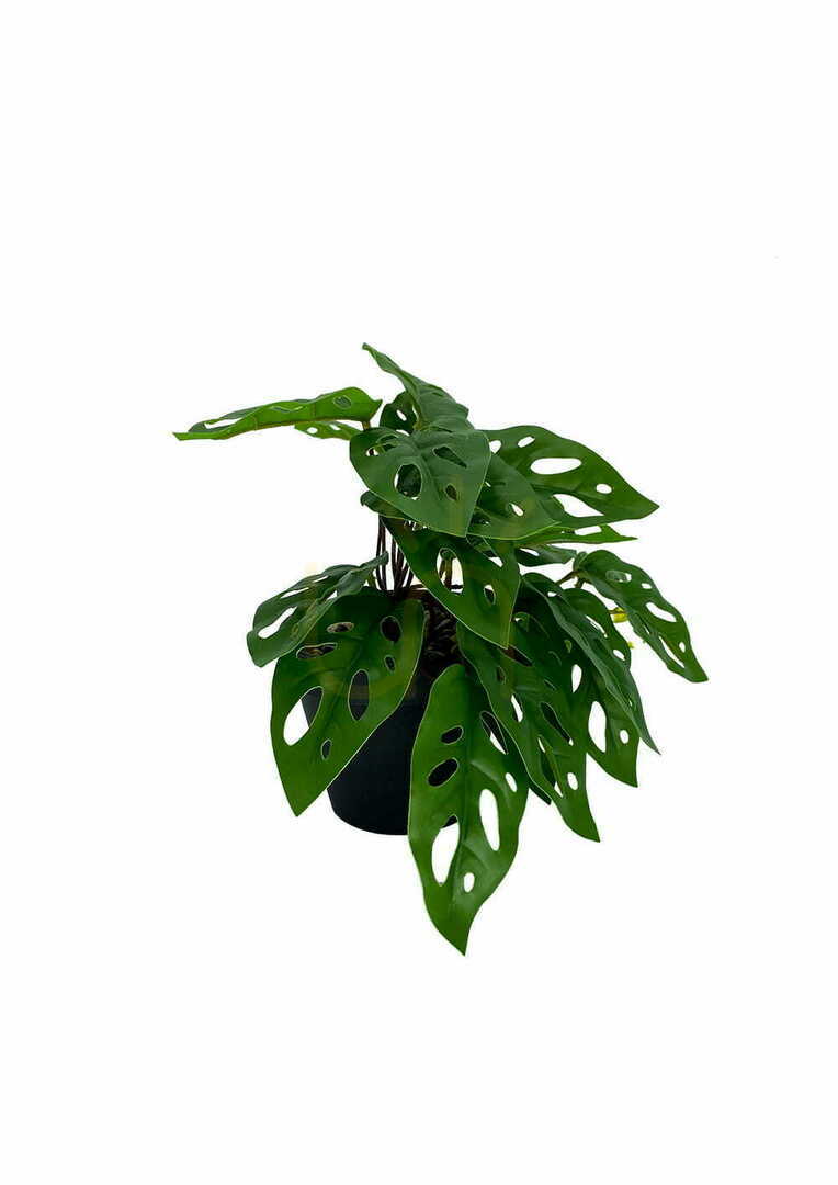 Show Artificial Monstera Monkey Plant 25 cm Artificial Monstera Monkey Plant 25 cm