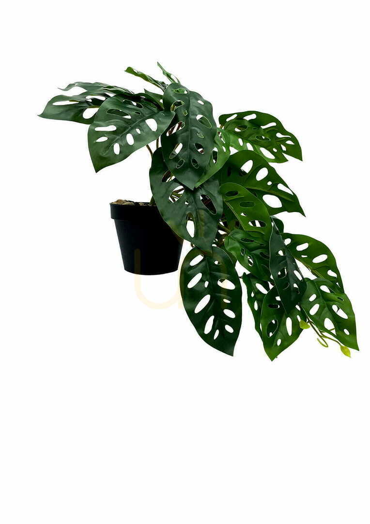 Display Artificial Monstera Monkey Plant 44 cm Artificial Monstera Monkey Plant 44 cm