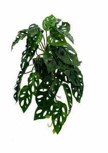 Artificial Monstera Monkey Plant 44 cm 4 Artificial Monstera Monkey Plant 44 cm small 4