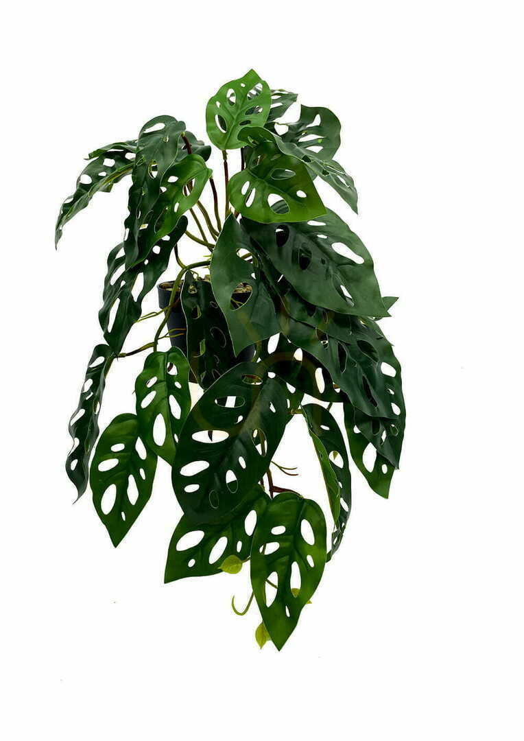 Show Artificial Monstera Monkey Plant 44 cm Artificial Monstera Monkey Plant 44 cm