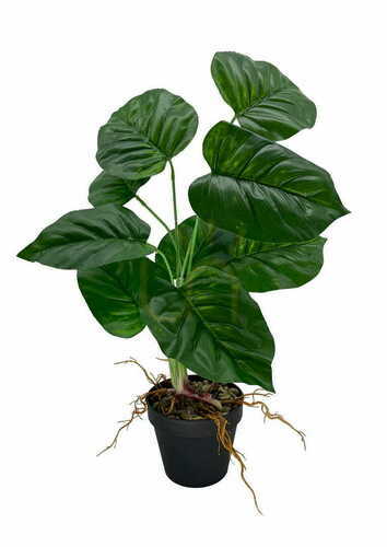 Check Artificial Maranta Plant 44 cm