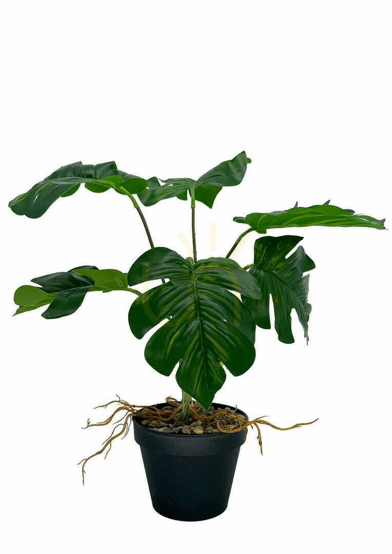 Check Artificial Monstera Hollow Plant 43 cm Artificial Monstera Hollow Plant 43 cm