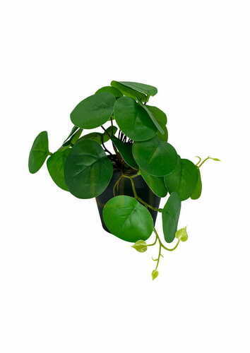Check Artificial Pilea Plant 20 cm