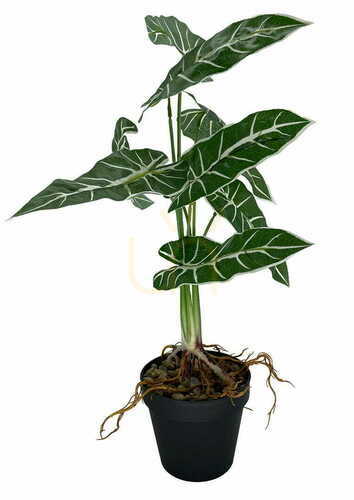 Check Artificial Plant Alokazia Amazonica 58 cm.
