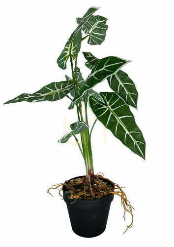 Check Artificial Plant Alokazia Amazonica 58 cm.