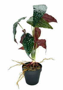 Artificial Begonia Rosie Plant 47 cm 2 Artificial Begonia Rosie Plant 47 cm small 2