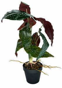 Artificial Begonia Rosie Plant 47 cm 4 Artificial Begonia Rosie Plant 47 cm small 4
