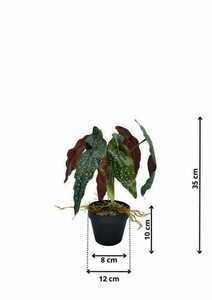 Artificial Begonia Rosie Plant 35 cm small 1