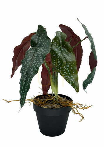 Check Artificial Begonia Rosie Plant 35 cm