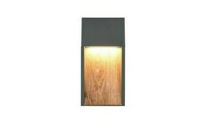 Trio SALMON outdoor wall lamp small 1