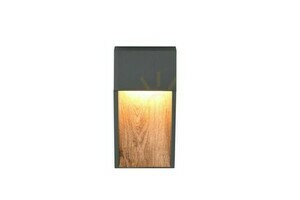 Trio SALMON outdoor wall lamp small 3