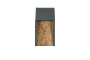 Trio SALMON outdoor wall lamp small 5