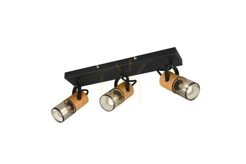 Check Trio TOSH Plafond 804300332