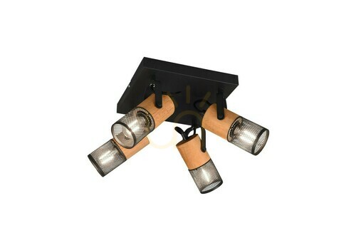 Check Trio TOSH Plafond 804300432