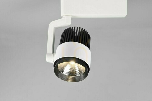 Check Trio DUOLINE Track Lighting 78030131