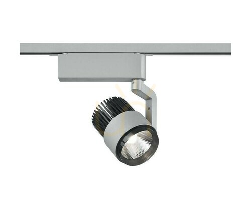 Check Trio DUOLINE Track Lighting 78030187