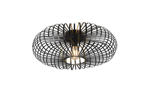 Check Trio JOHANN Plafond 606905032