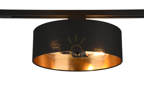 Check Trio DUOLINE Track Lighting 76820280