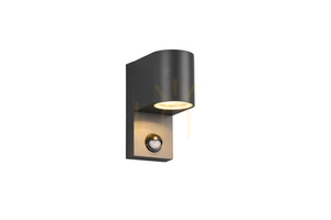 Trio ROYA outdoor wall lamp 214260142 small 0