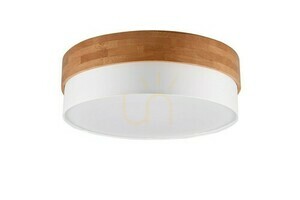 Trio SEASONS Plafond 611500301 small 2