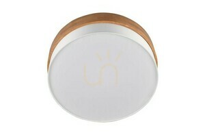 Trio SEASONS Plafond 611500301 small 3