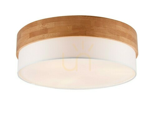 Check Trio SEASONS Plafond 611500301