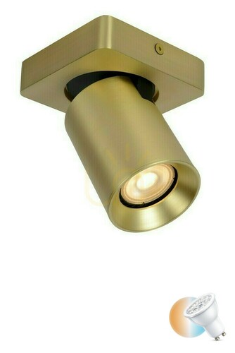 Check Lucide Nigel Gold LED Plafond GU10 1-Light 10 cm 09929/05/02