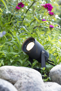 Outdoor Spot Light Markslojd Garden 24 3W Black Aluminum 106929 small 2