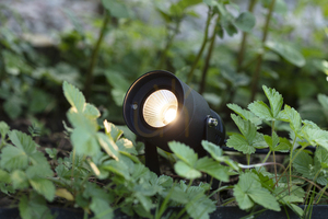 Outdoor Spotlight Markslojd Garden 24 6W LED Black 3000K 106930 small 2