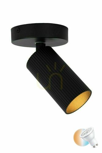 Check Lucide CLUBS zwart aluminium plafondspot GU10 1-lichts 09939/01/30