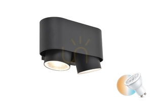 Lutec CYPRES outdoor wall light 2xGU10 7W IP44 dark grey up-down adjustable 6604003118 small 0