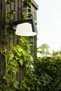 Lutec Moon Solar outdoor LED wall light with motion sensor, grey, 6906001118 small 2