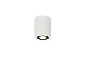 Trio COOKIE Ceiling Lens 612900134 small 1