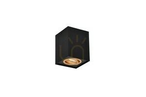 Trio BISCUIT Ceiling Lens 613000180 small 2