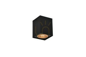 Trio BISCUIT Ceiling Lens 613000180 small 3
