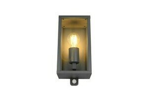 Trio outdoor wall lamp GARONNE - MOVEMENT SENSOR 201869142 small 4