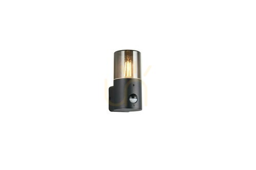 Check Trio HOOSIC outdoor wall lamp - MOVEMENT SENSOR 222260132
